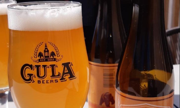 Gula Beers uit Meppel